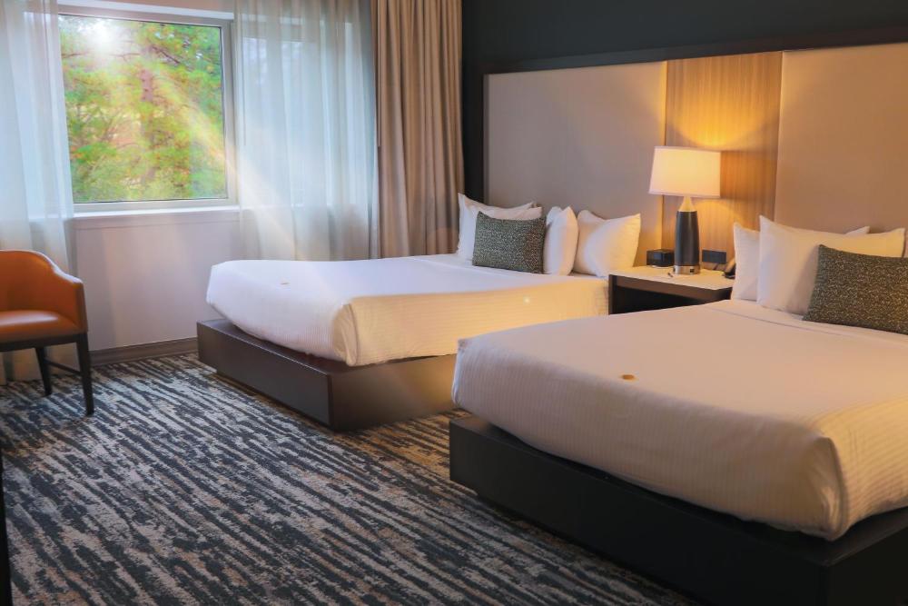 Deluxe Queen Room interior